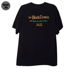 Empire Touring: The Black Crowes 2022 Tour Crew USED Shirt (XL, Walkie-Talkies)